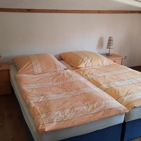 Schoenermarker Pferdeparadies Niederlandin Ngoại thất bức ảnh