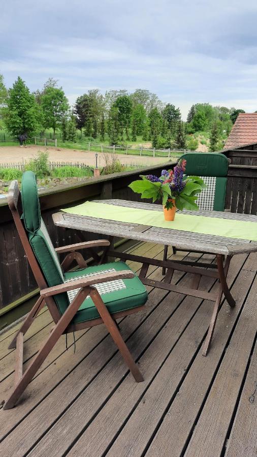 Schoenermarker Pferdeparadies Niederlandin Ngoại thất bức ảnh
